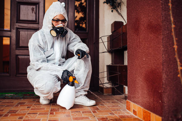 Attic and Crawl Space Rodent Treatment in Punta Rassa