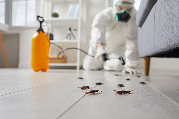 Commercial Rodent Management in Punta Rassa
